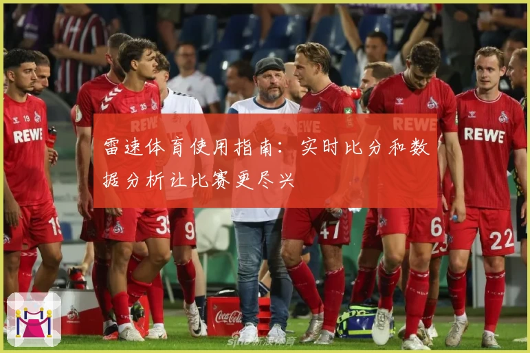 雷速体育使用指南：实时比分和数据分析让比赛更尽兴