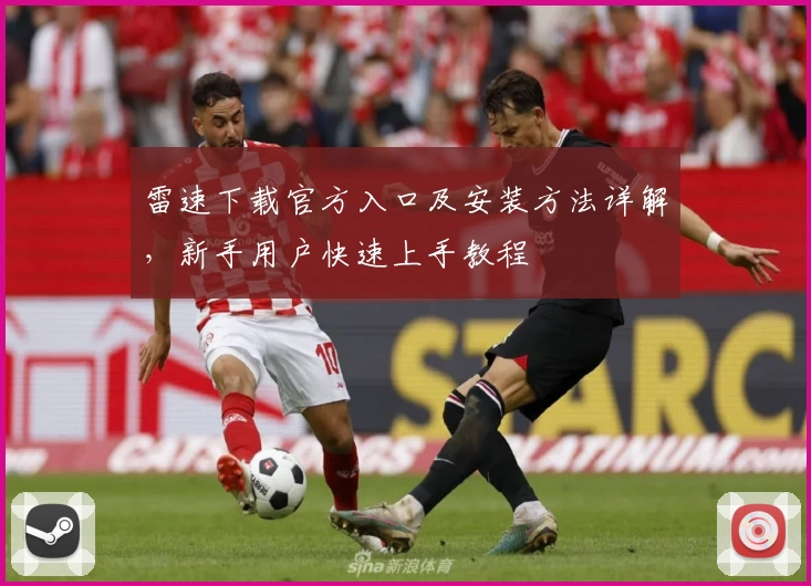 雷速下载官方入口及安装方法详解，新手用户快速上手教程