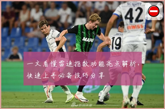 一文看懂雷速指数功能亮点解析，快速上手必备技巧分享